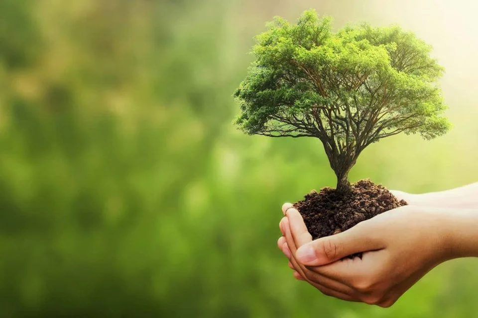 Premios Sostenibilidad - Gestión Ambiental